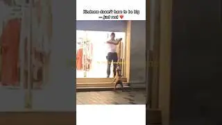 This Dog&rsquo;s Reaction Will Melt Your Heart 🥹❤️ #kindness #inspiration #doglife