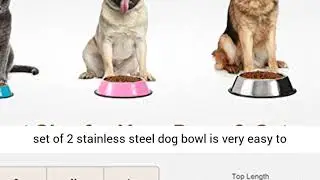 Stainless Steel Dog Bowls Food and Water Bowl Non-Toxic 2 Pack Pet Bowls
