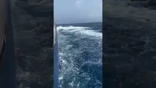 🫣 4000 meters deep &hellip;🌊 #shortsvideo #arabiansea #ship #feedshorts