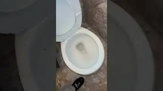 Small bath- broken sink just like in large bath and gross toilet/floor