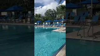 Incredible pool in Delray Community, Florida #floridabeachhomes #luxuryhomestyle #floridarealestate