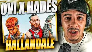 REACCION A OVI ❌ HADES 66 | HALLANDALE 🐊 (Official Video)