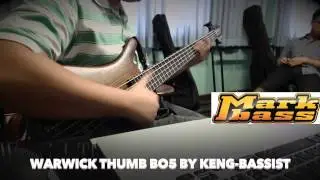 Warwick Thumb Bo5 modified OBP-3 - Aguilar Pre Amp by Keng-Bassist