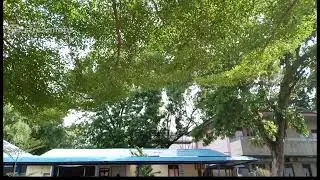 Kim Vallente Live Stream
