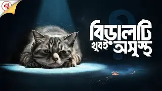 কেন বিড়াল হঠাৎ মারা যায়? | Why do cats die suddenly?