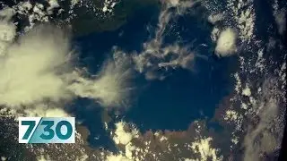 Scientists continue to issue urgent warnings about climate change | 7.30