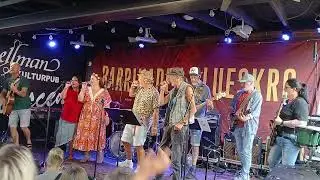 Notodden Bluesfestival 2025 Bellman Kulturpub - Next Level