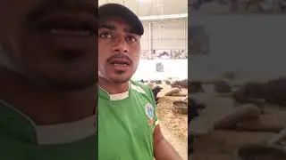 Live: DAILY ACTIVITY OF Gau Seva Dham