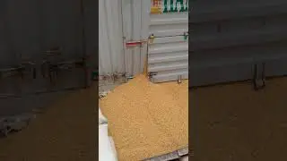 ذره برازيلي مدشة الحاج كمال عيسي جميع انواع الاعلاف والخلطات للعجول التسمين  الاعلاف 01110665918