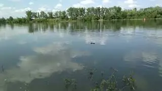 The Don River in the village is Razdorskaya in all its glory!
