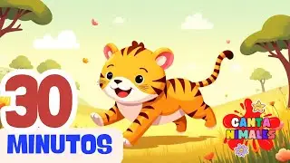 Canciones Infantiles 🎶🐯 | Rayitas el Tigre y su Gran Aventura 🌟
