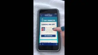Carnival's Internet Packages