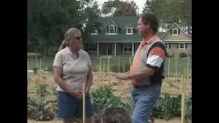 Small Farms Drip Irrigation - Cognitio Farm Vegetable Demonstration