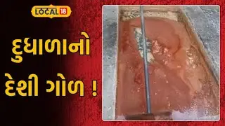 Domestic jaggery from milk  | દુધાળાનો દેશી ગોળ બન્યો સુરત અને અમદાવાદની પહેલી પસંદ | Local18
