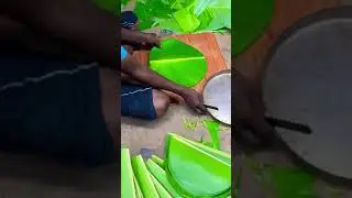 Banana leaves 🍃 cutting for meals