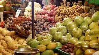Culinary Quest  A Gastronomic Adventure