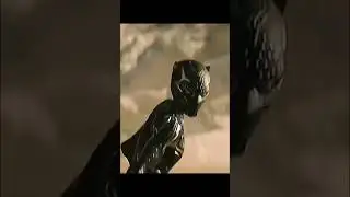 Wakanda&rsquo;s New Protector