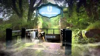 Toxic Universe - Reptile