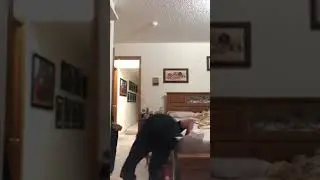 Karate lesson: Backwards Roll (Dank)
