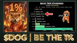 $DOG - THE 1% ALWAYS WIN (Explained) 🧠