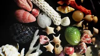 Beachcombing Magazine V51 Highlights