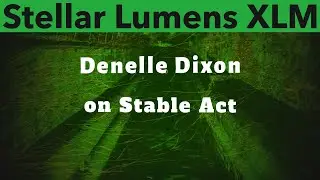 Stellar Lumens XLM News: Denelle Dixon on Stable Act