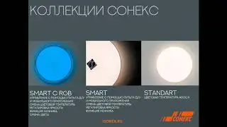 Вебинар Сонекс - настенно потолочные светильники