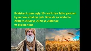 #Wheat |#Why to grow more wheat in pakistan|#Why pakistan need more production of wheat for future