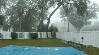 Foggy Day In Florida(Commentary)