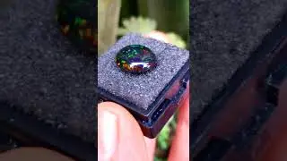 kalimaya black oapl natural banten,  😍dim 12x11x6mm minat wa(0895395305704) lok maja lebak.