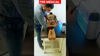 Gayatri Pre Medical #gayatri_official #gayatripremedical #cposi #sscgd #sscgd2025 #uppolice #army