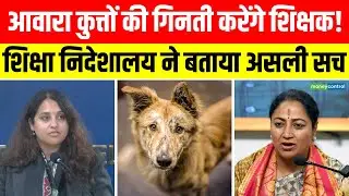 Teachers to Count Stray Dogs | आवारा कुत्तों की गिनती करेंगे शिक्षक? | Delhi News