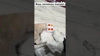 Артикул Я.Маркет 👉 YM10206962 (не забудь при поиске YM)