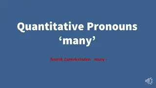 Quantitative Pronouns in English 'MANY' (İngilizce Nicelik Zamirleri)