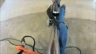 T rex carpet cleaning 10 8 15