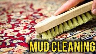 Satisfying Mini Rug Deep Cleaning 🧽 | Real ASMR Carpet Wash Tutorial