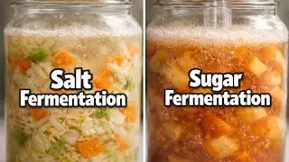 EP 4 | Sugar vs Salt in Fermentation: Why One Creates Alcohol