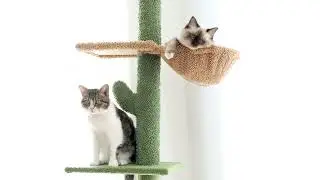 Cat Tree 5-Tier Floor to Ceiling Cat Tower Cactus Tall Climbing Tree with
