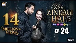 Meri Zindagi Hai Tu Episode 24 Review I Drama King Review &ndash; Full Drama Explanation & Reviews