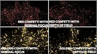 Confetti Pack Of 4 | Sample clips