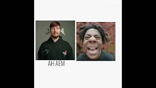 speed and mr beast