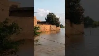 FFD Flood Update Today - Satluj River Flood Update Today - Head Ganda Singh - Head Sulemanki
