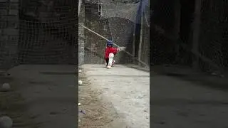 #Shorts#Cricket#Sports#CricketHighlights#CricketLive#viral#trending#womenscricket#cricketfan#trend#