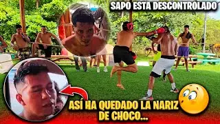 Miren que feo le agarro a Sapo contra su contrincante Jilo. Así ha quedado Choco después de pelear