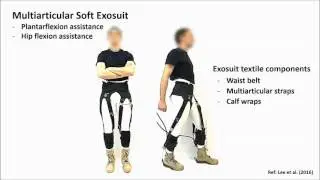 Exosuits help you walk more and spend less energy