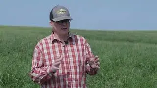 Where the Green Grass Grows | Summer 2024 | Andrew McCrea | Full