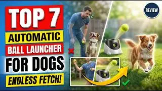 Top 7 Best Automatic Dog Ball Launcher Review (Hidden Gem) Busy Owners Must See