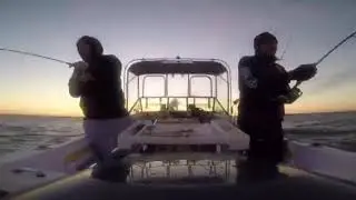 Screaming Reels