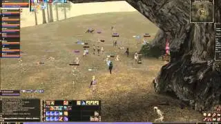маленькие шалости с Avtsh Gran KAIN  Lineage 2