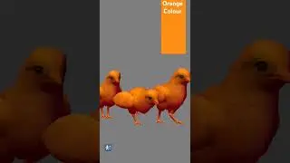 Orange colour learning kids #orangecolor #kidslearning #education